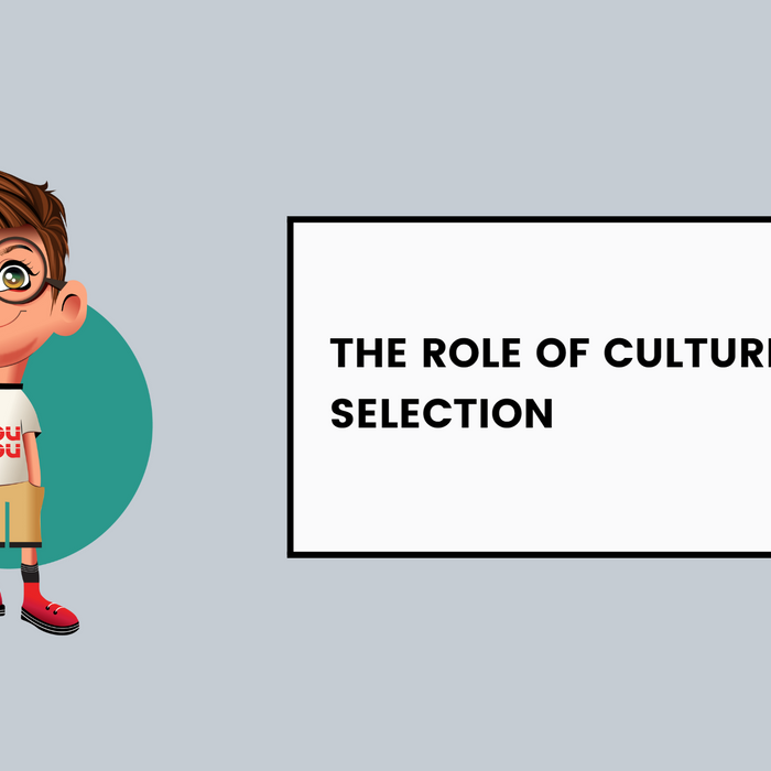 The Role Of Culture In Gift Selection