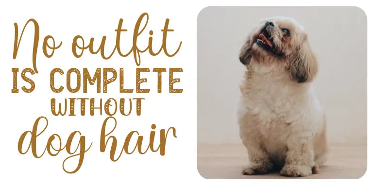 No outfit is complete without dog hair - Dudus Online