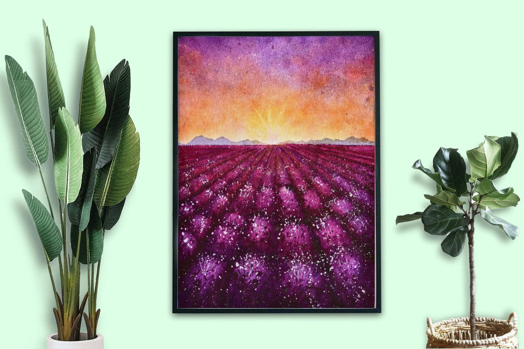 Lavender field - Dudus Online